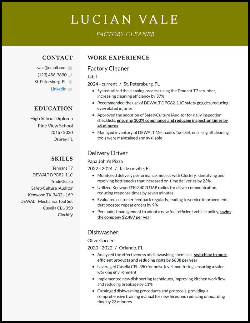 resume examples for cleaning
