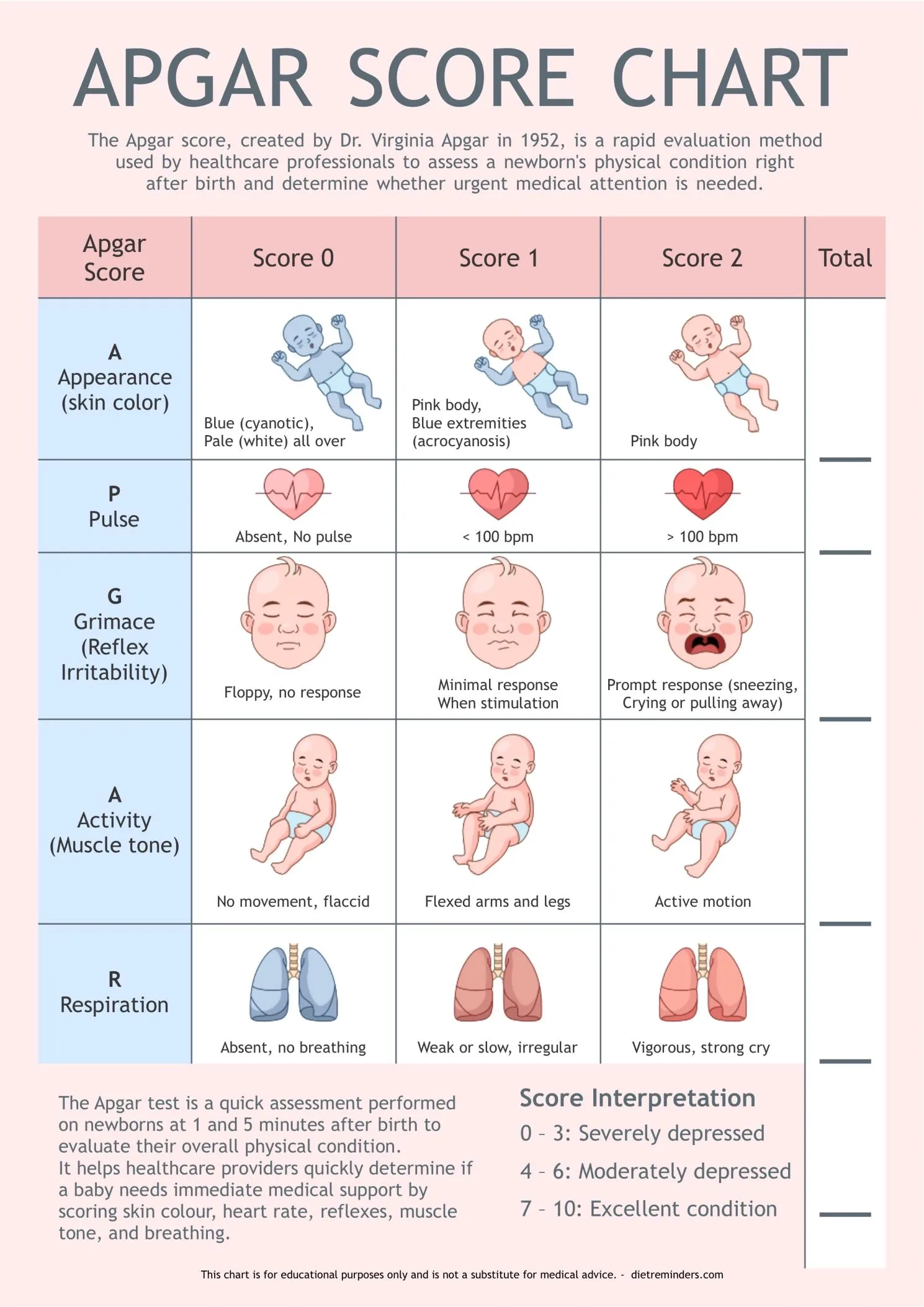 Apgar Score Chart Newborn Health Assessment Tool PDF Digital Download A4 Size Etsy Ireland