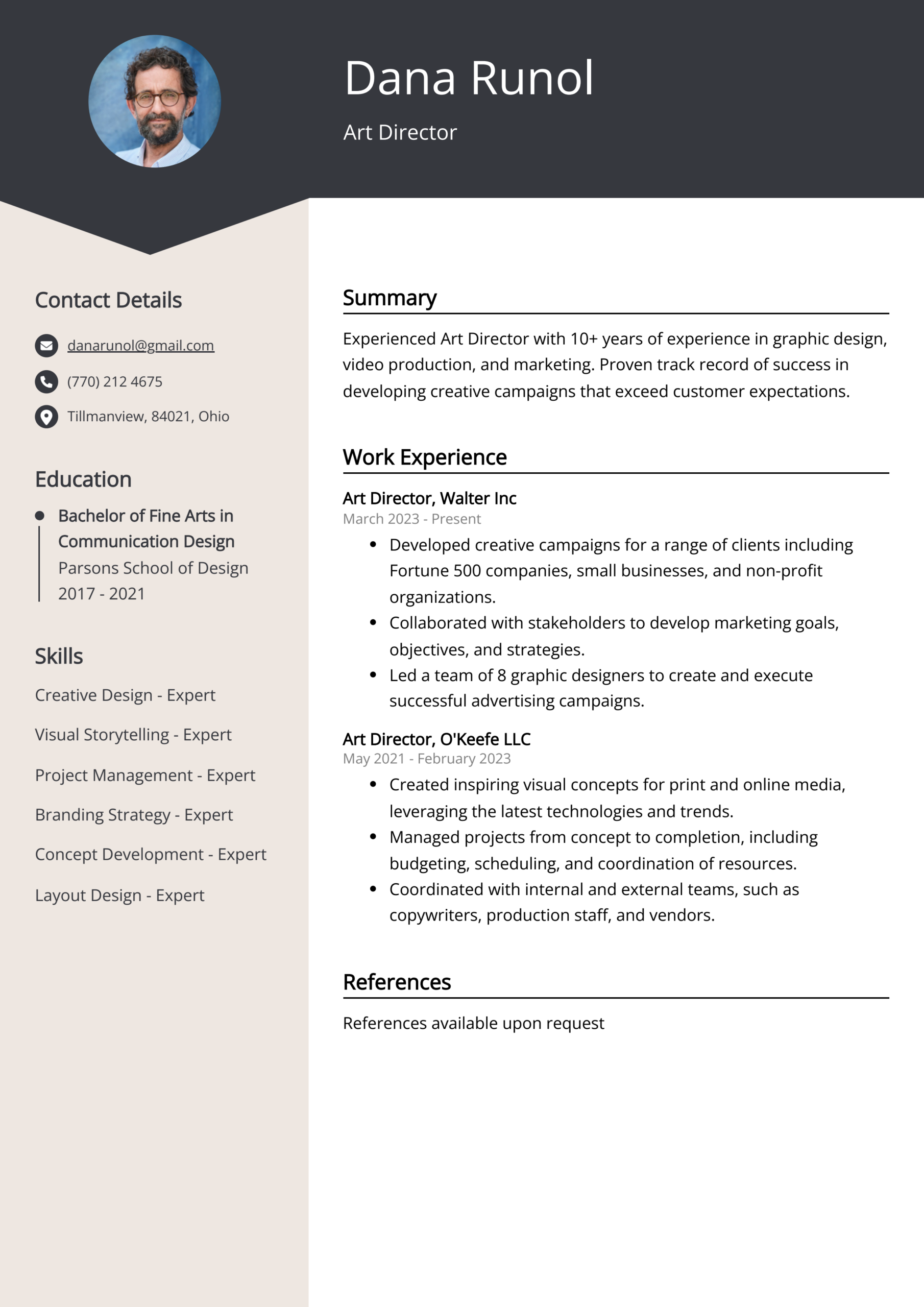 Art Director Resume Example Free Guide