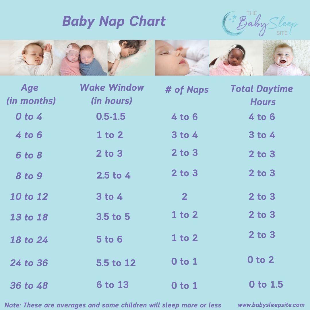 Baby Nap Chart How Many Naps and How Long By Age The Baby Sleep Site