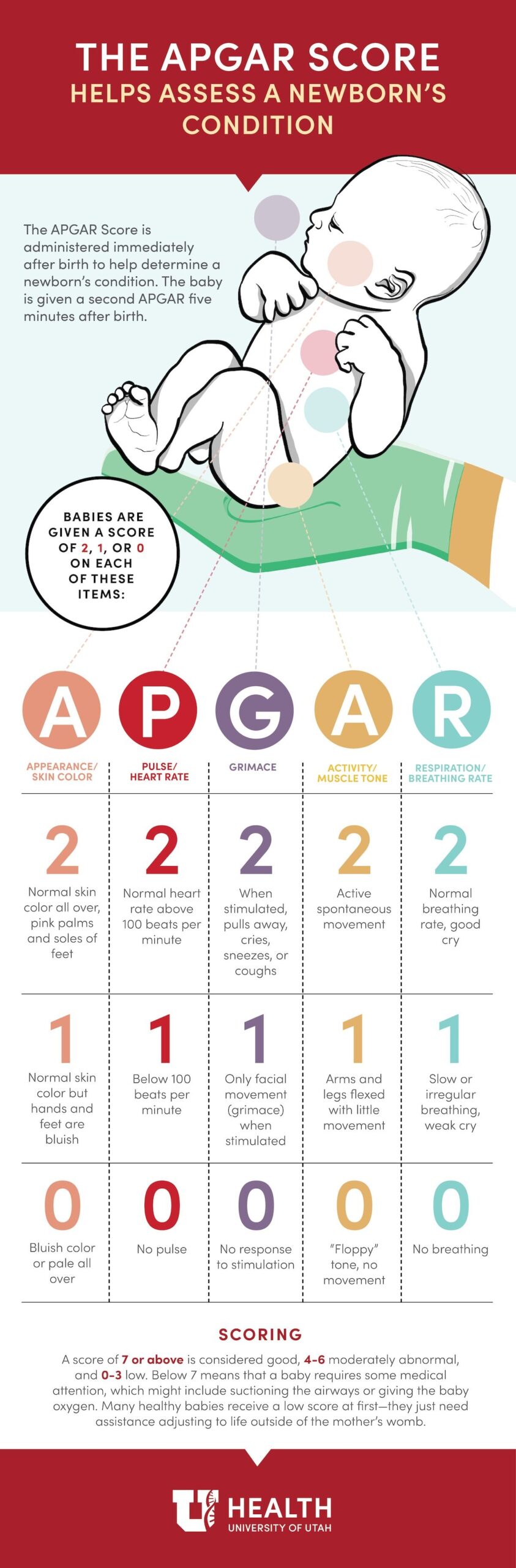 printable apgar score chart