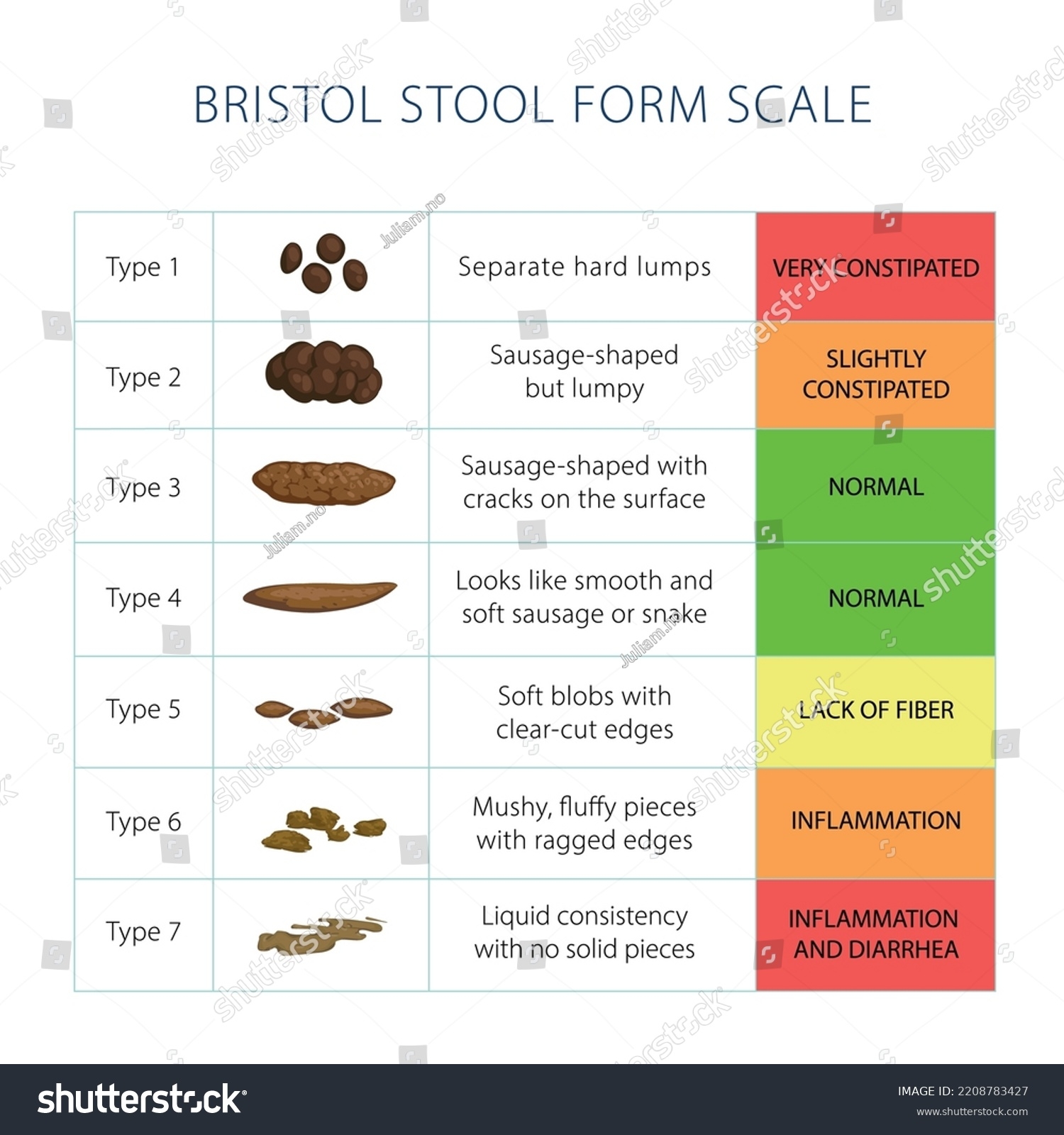 Bristol Stool Scale Table Medical Diagnostic Stock Vector Royalty Free 2208783427 Shutterstock
