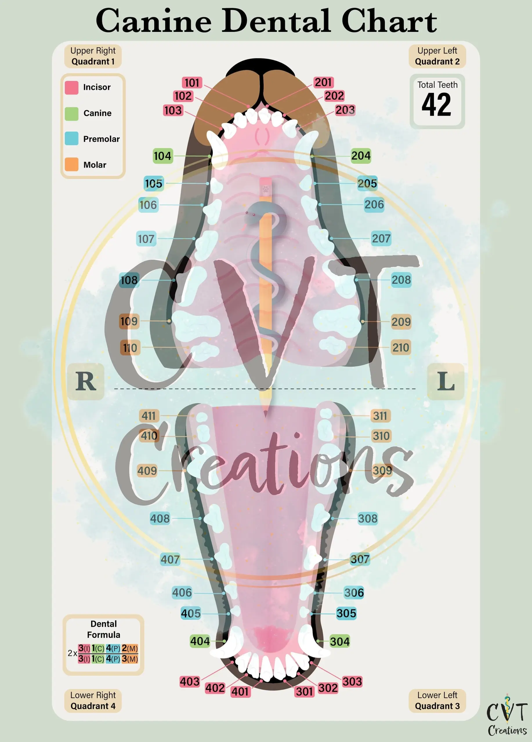 printable canine dental chart