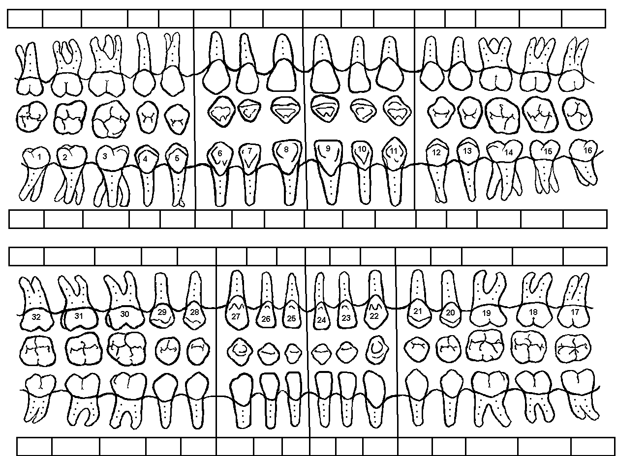printable periodontal charting form