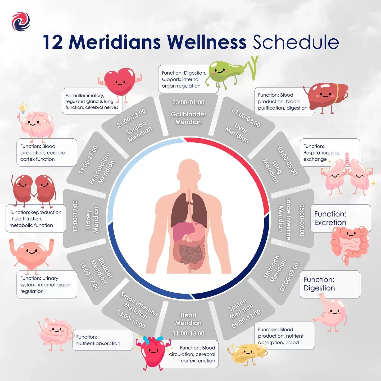 printable 12 meridians chart