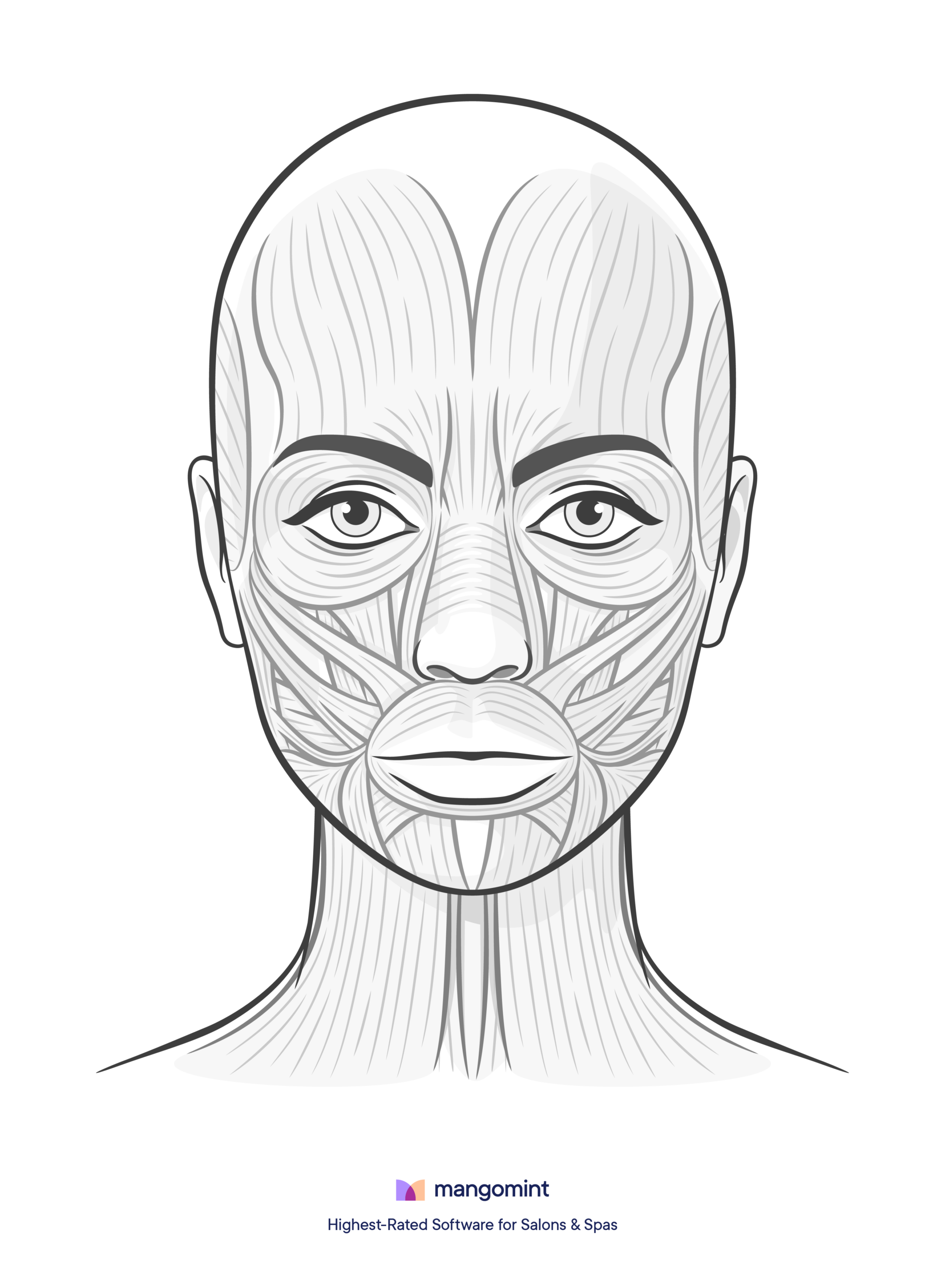 Face Charts Templates For Spas Salons And Tattoo Shops Mangomint Salon And Spa Software