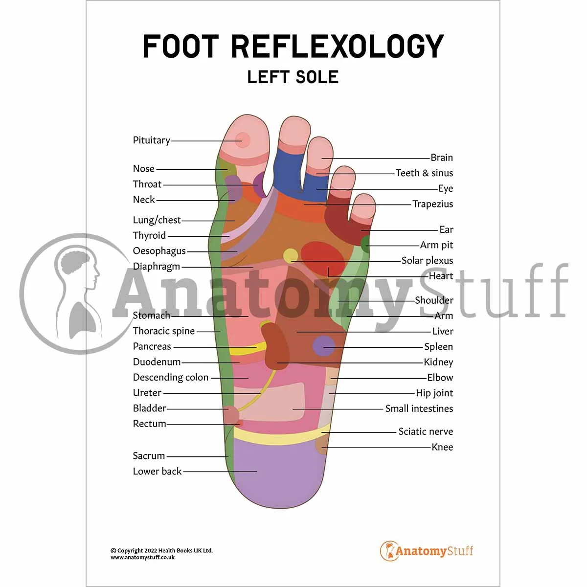 foot reflexology chart printable