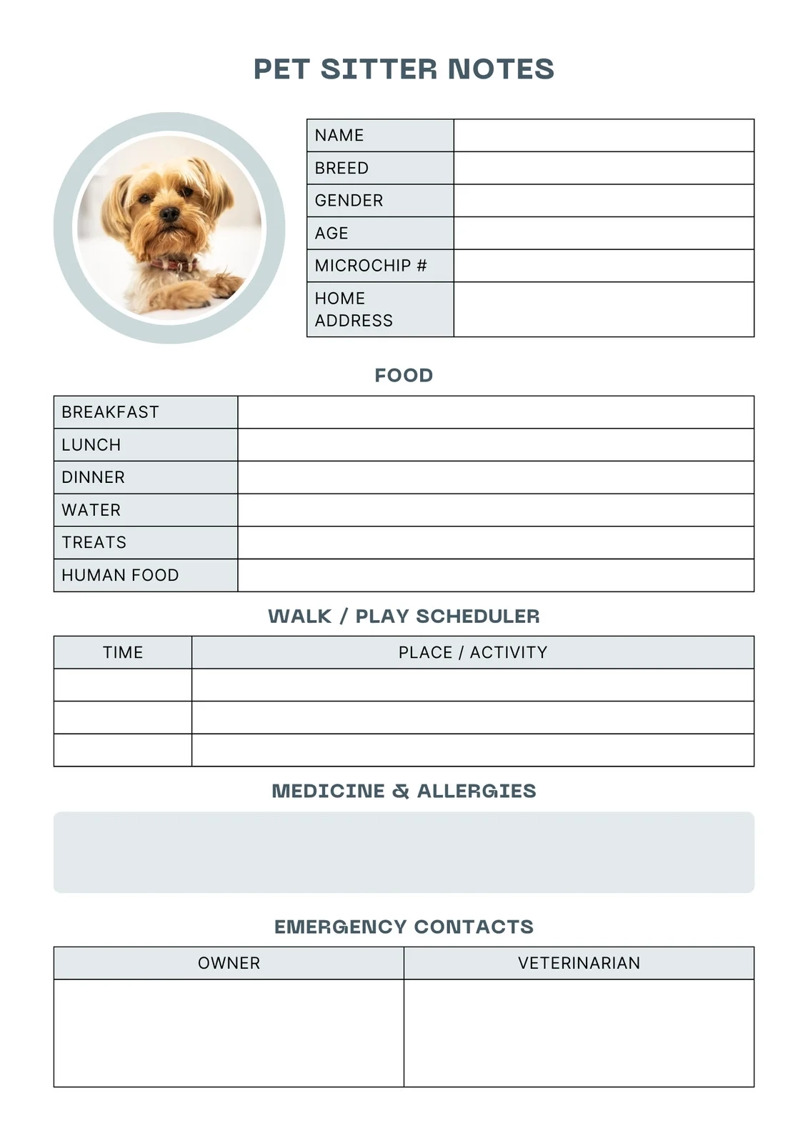 Free And Customizable Pet Templates Canva