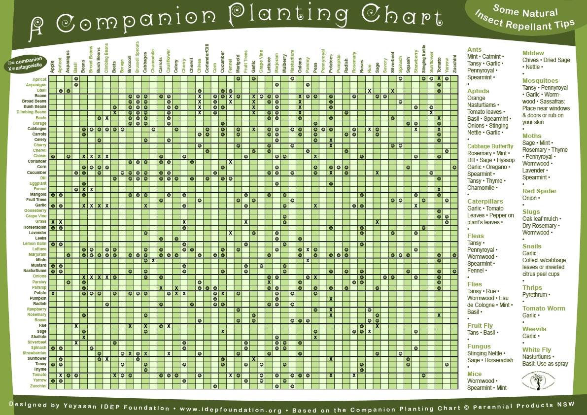 Free Companion Planting Chart PDFs Printable Guides World Water Reserve