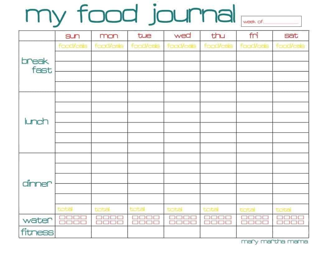 food diary template free