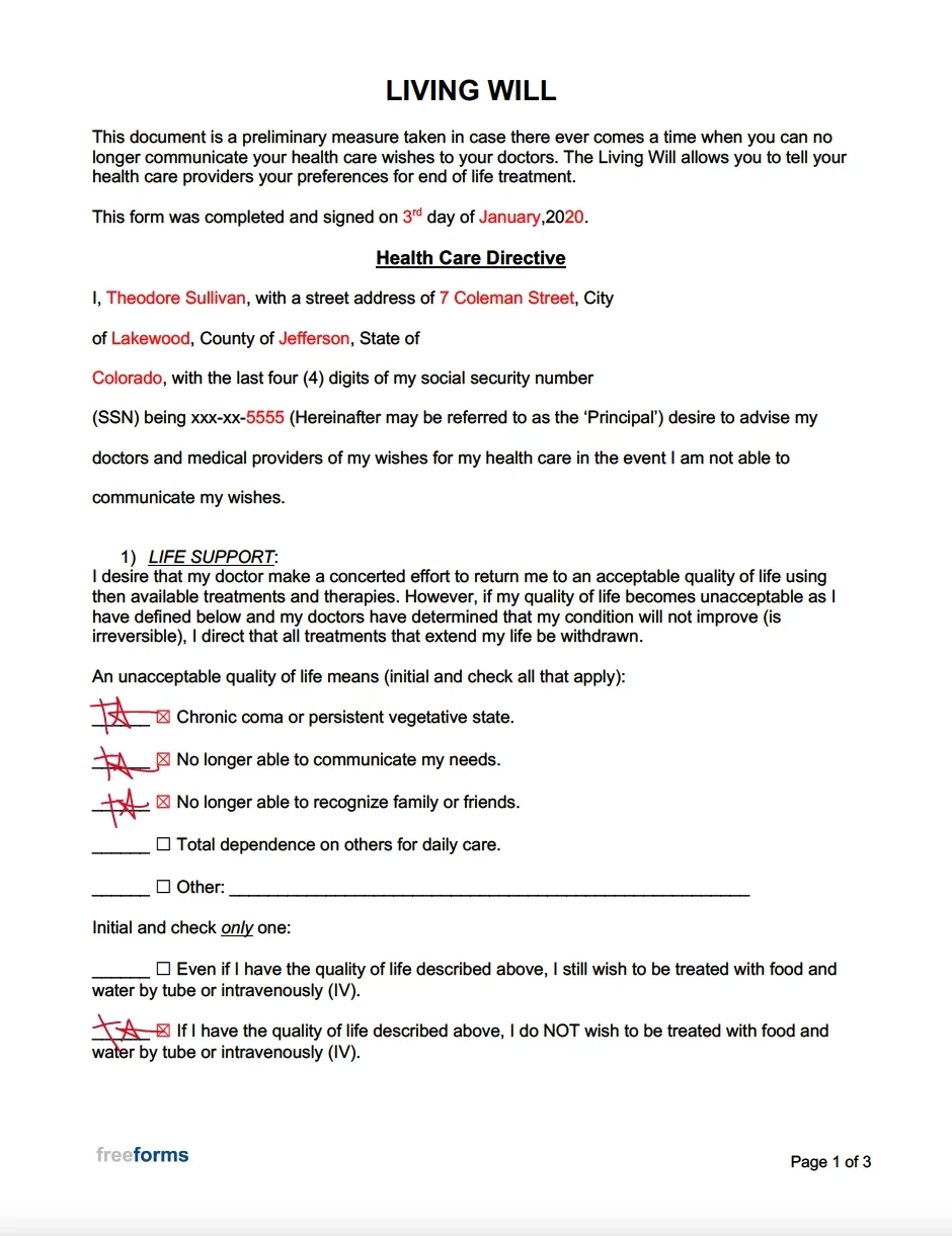 Free Living Will Forms PDF Word