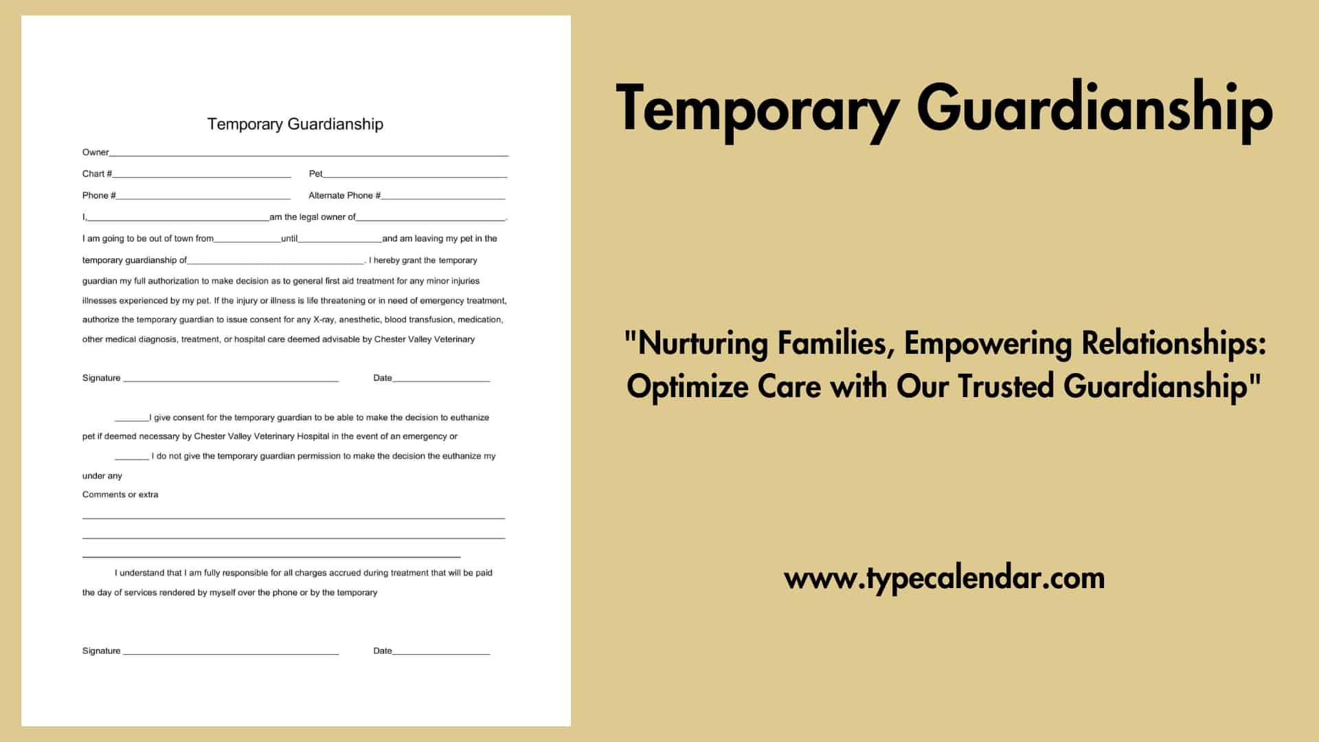 free printable guardianship forms georgia