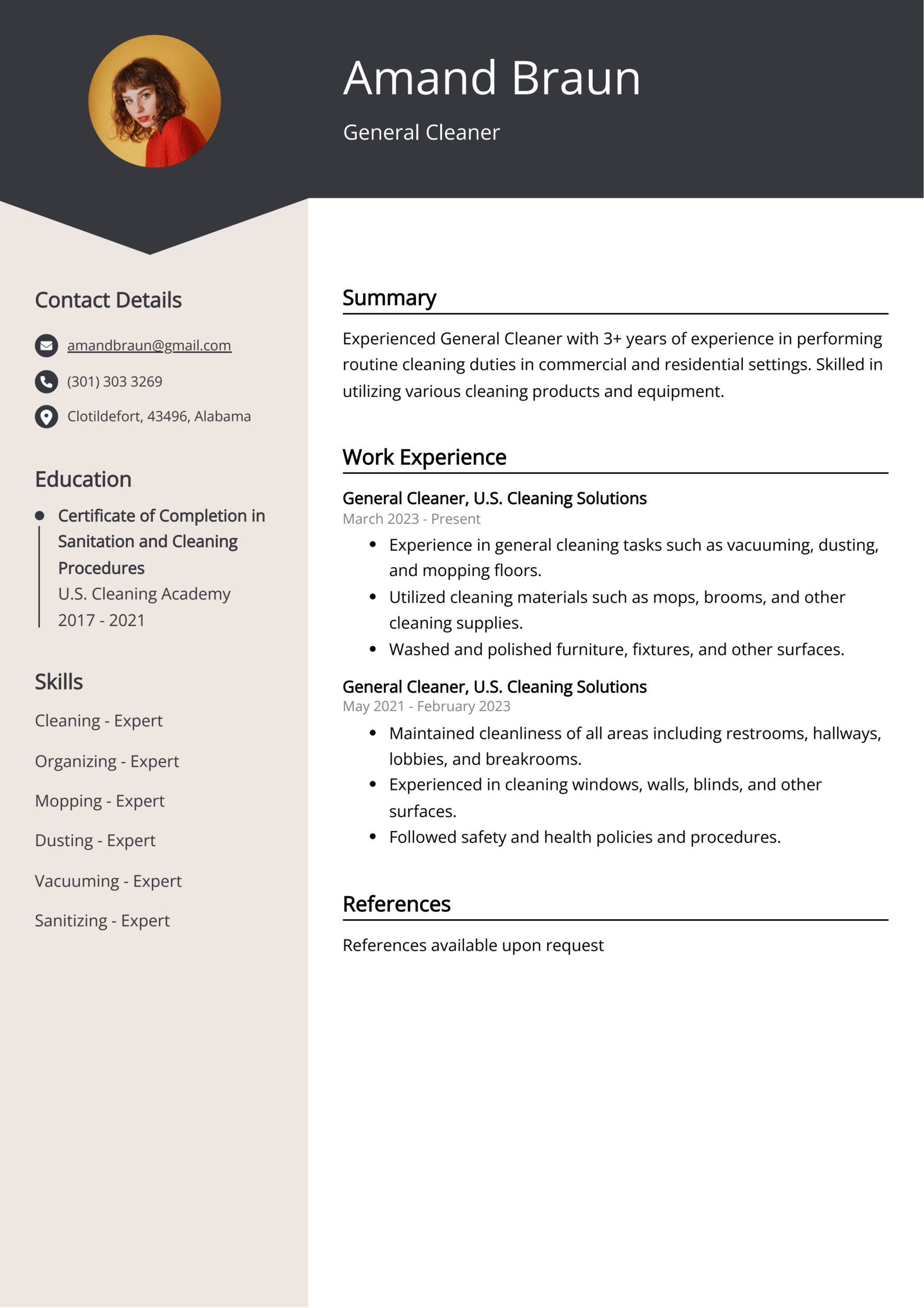 General Cleaner Resume Sample Guide Entry Level Senior Jobs 