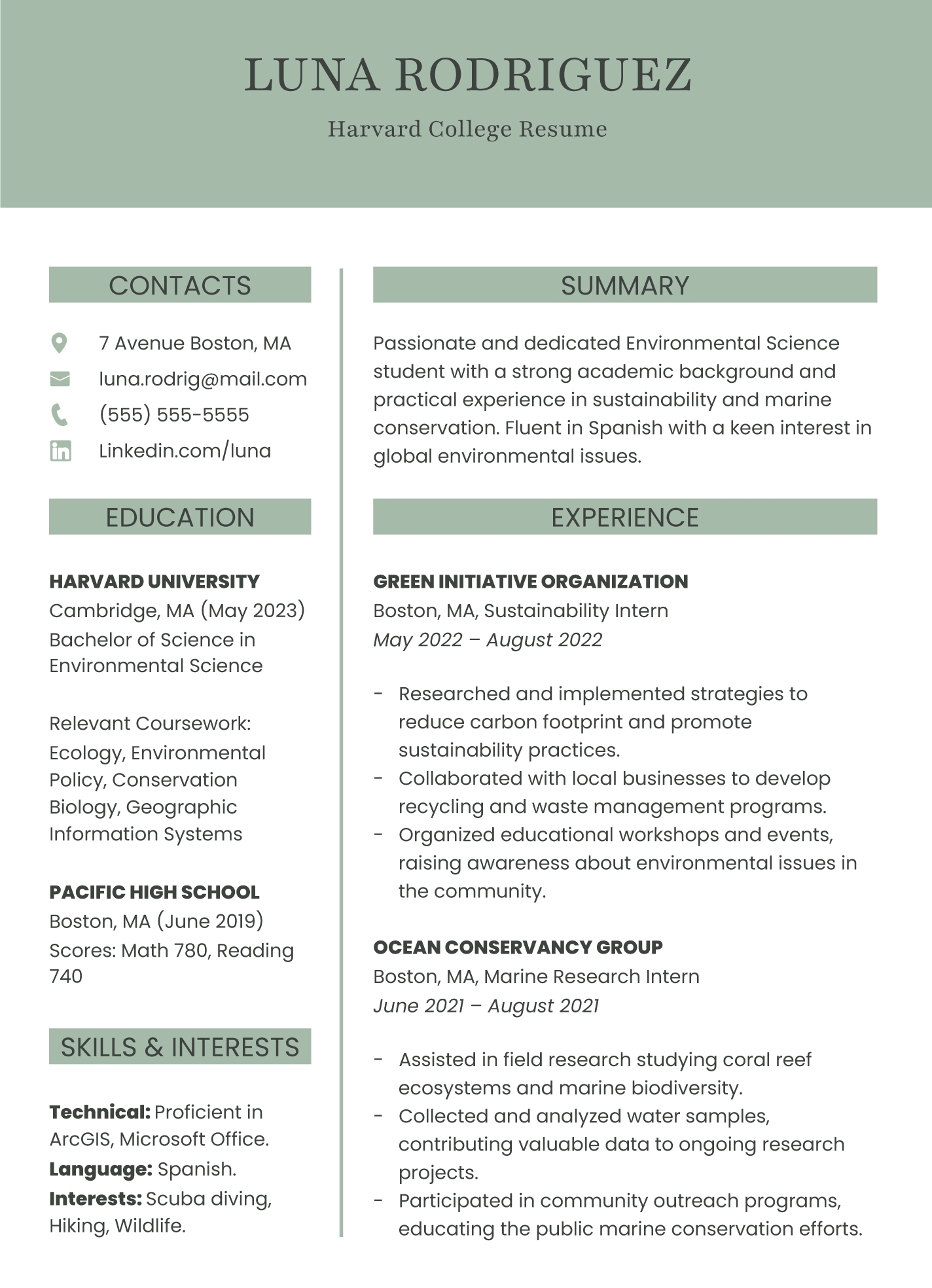 harvard resume template google docs