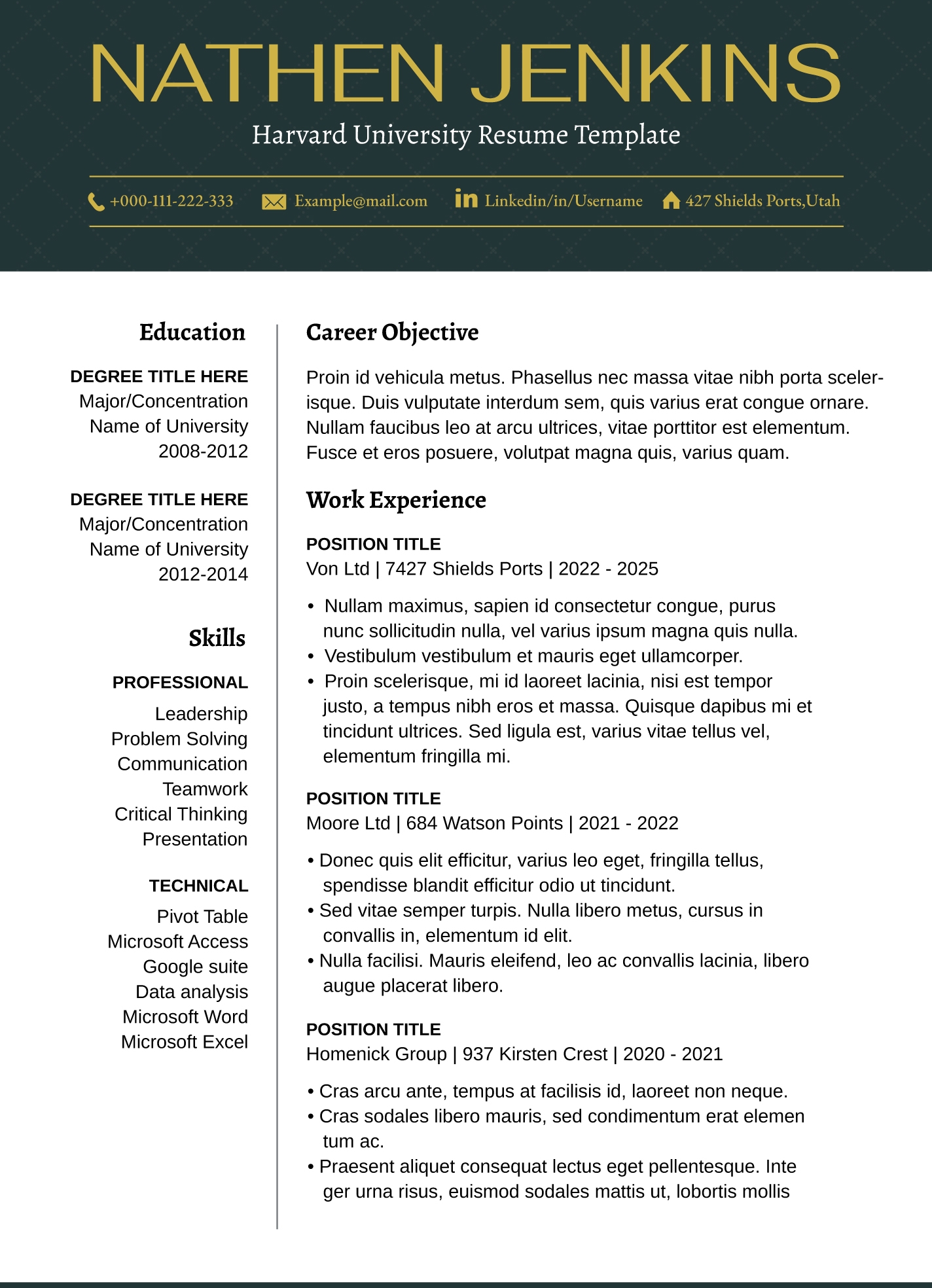 Harvard University Resume Free Google Docs Template Gdoc io