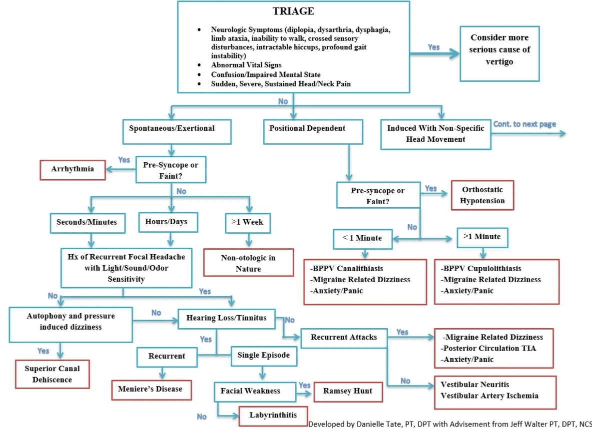 History Algorithms Vestibular Today
