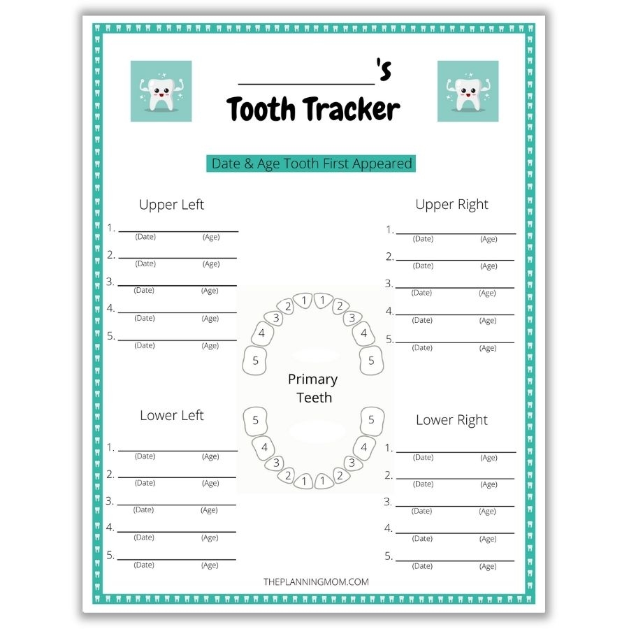 printable primary tooth chart