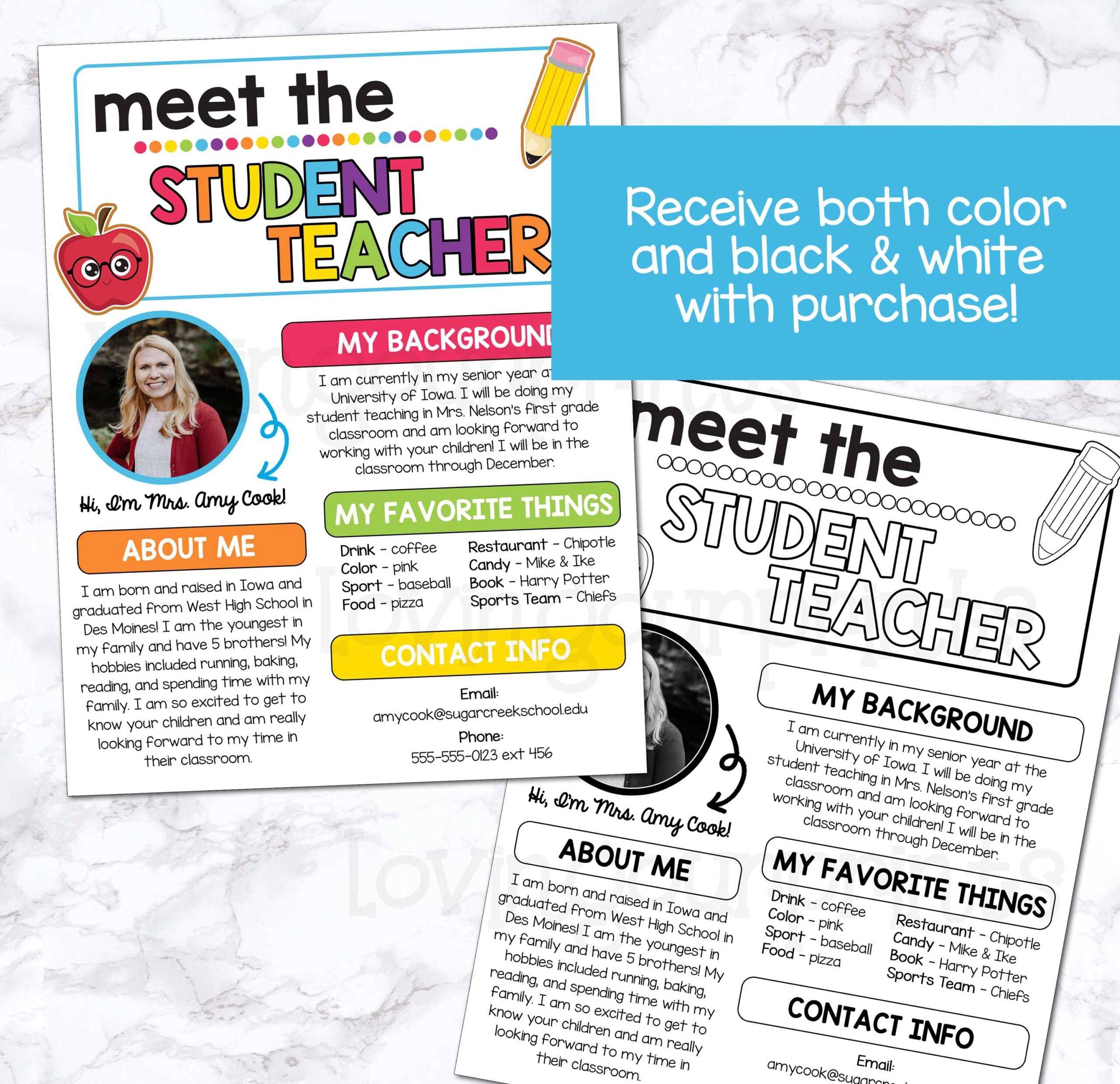Meet The Student Teacher Meet The Student Teacher Template Meet The Teacher Editable Template Back To School Meet The Student Teacher Etsy