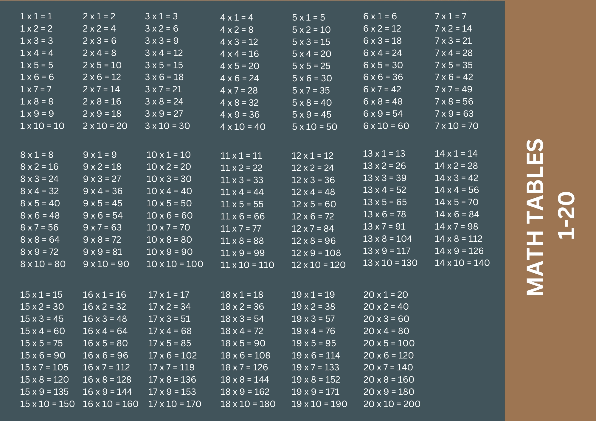 Multiplication Chart 1 10 1 20 1 50 1 100 Printable Instant Download PDF 