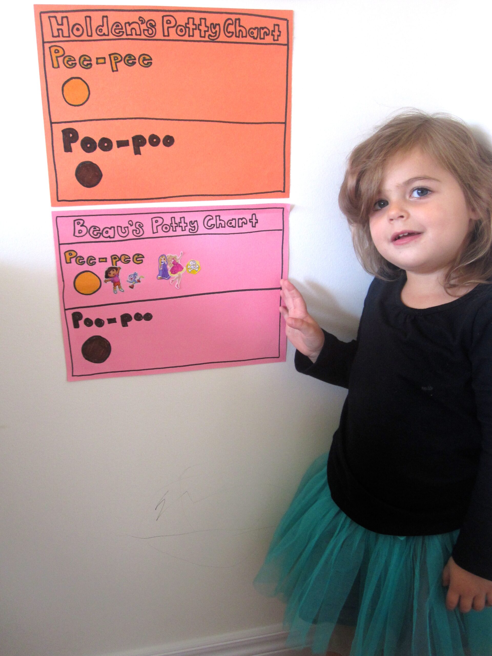 Potty Training Chart DIY The Dirtiest Parenting Job Nesting Story