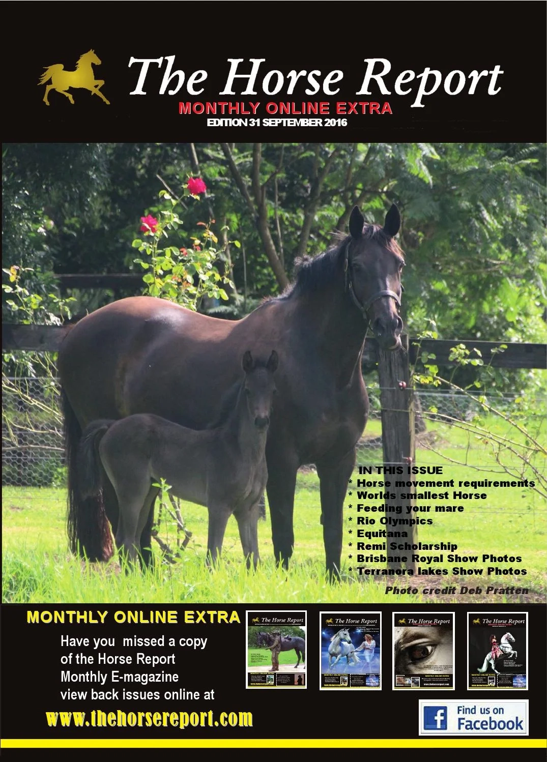 Printable Aqha Transfer Form Printable Party Favors