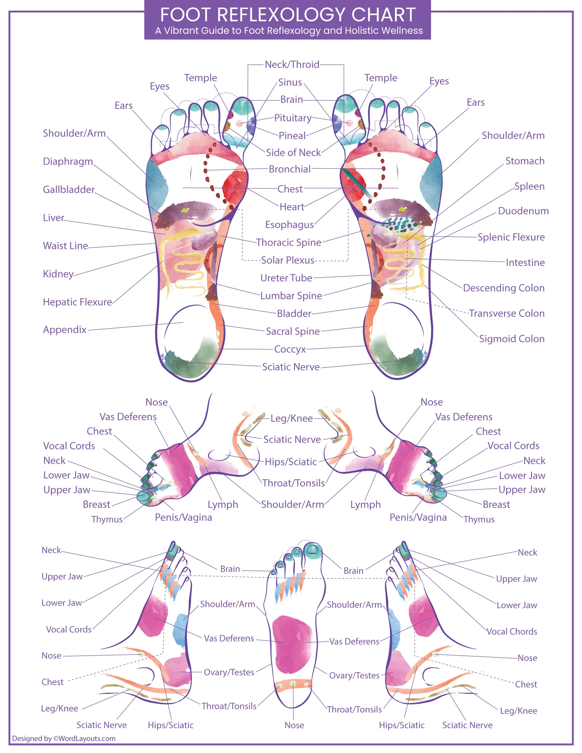 Printable Foot Reflexology Charts WordLayouts