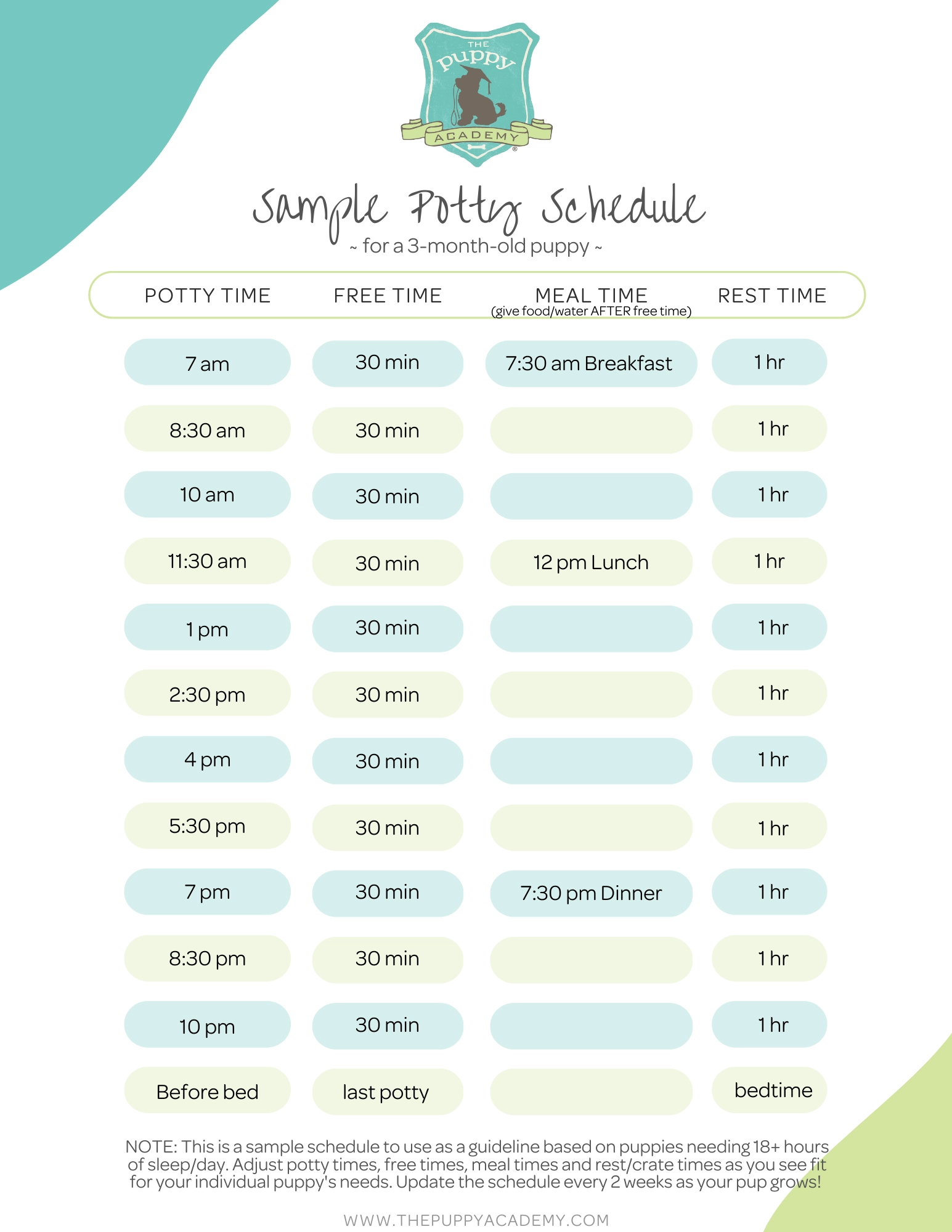 Puppyhood Made Easy For New Owners Create A Puppy Potty Schedule The Puppy Academy
