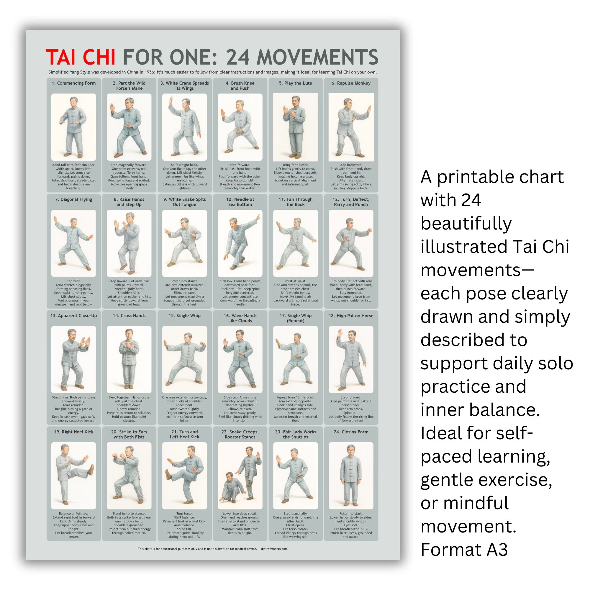 Tai Chi Poster 24 Simplified Yang Style Movements Illustrated Guide A3 Printable Digital Download Etsy