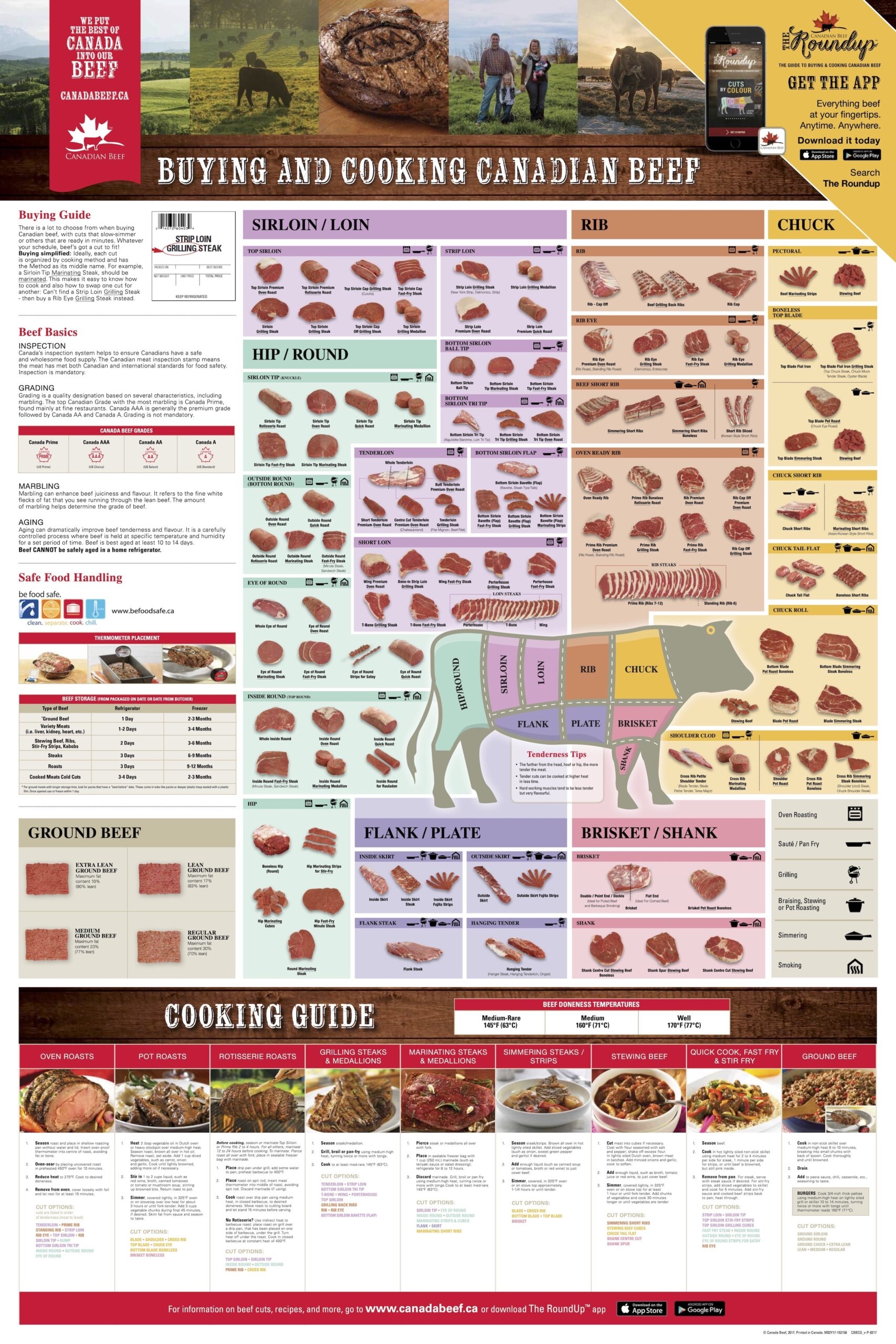 beef cuts chart printable