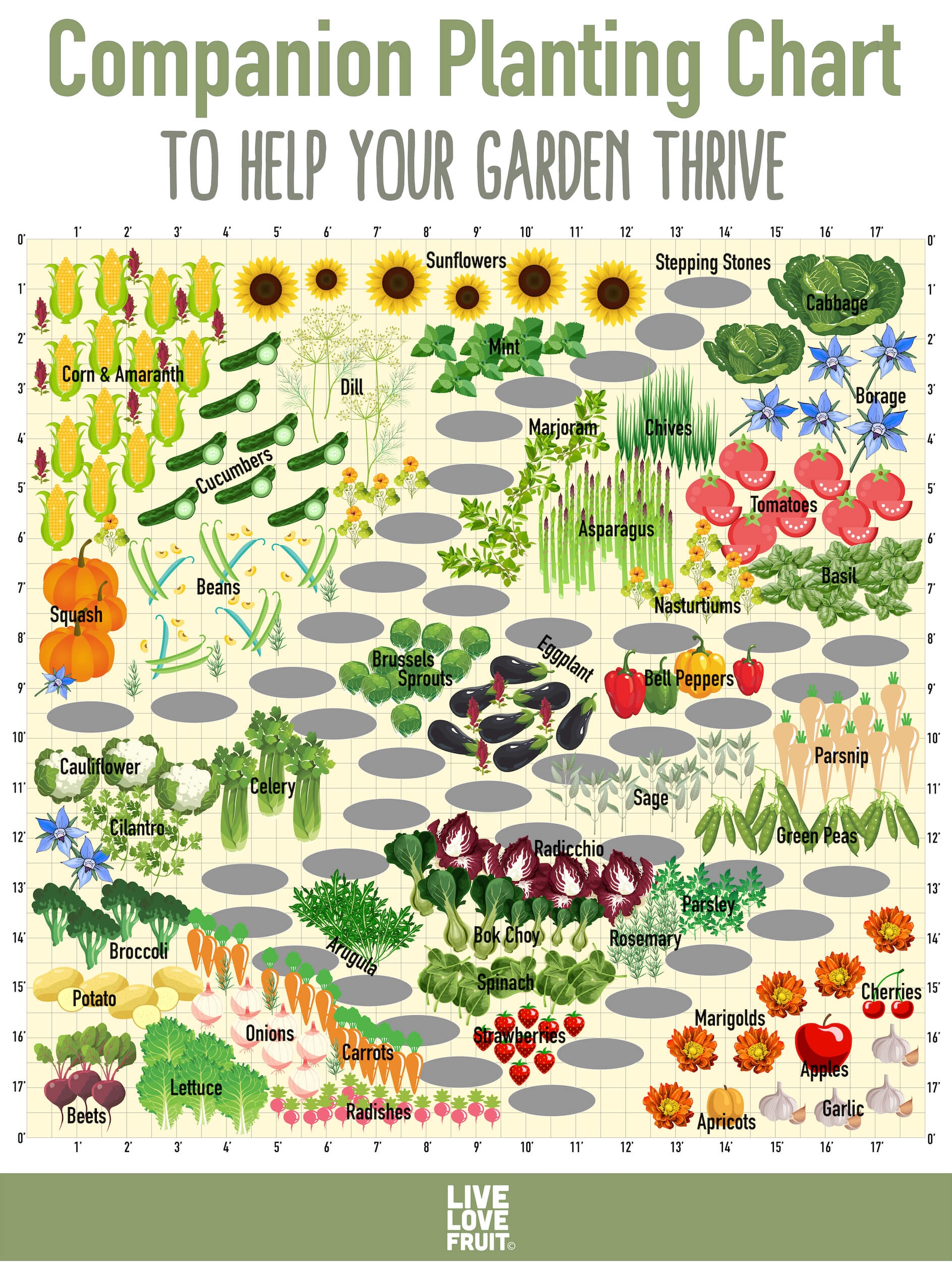 printable companion planting chart