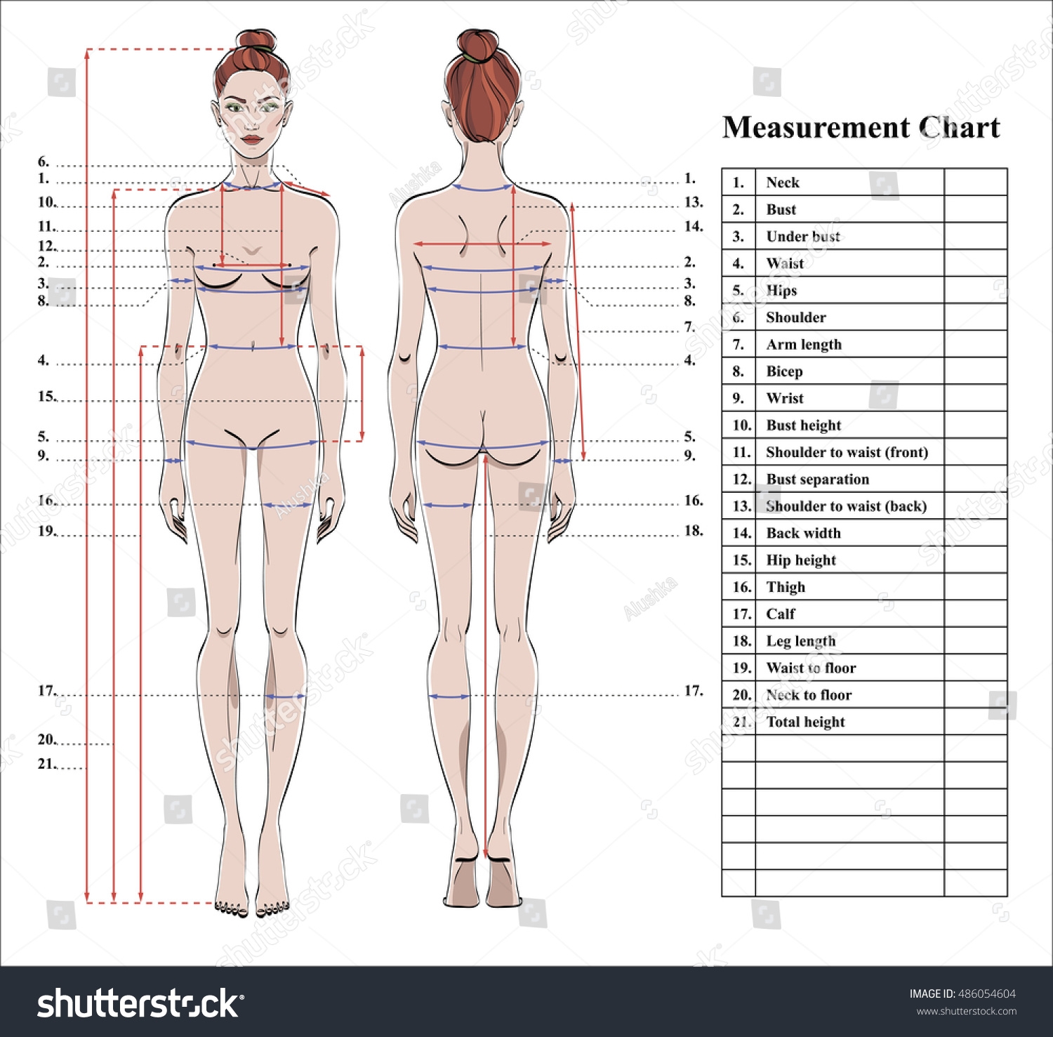 Woman Body Measurement Chart Scheme Measurement Stock Vector Royalty Free 486054604 Shutterstock