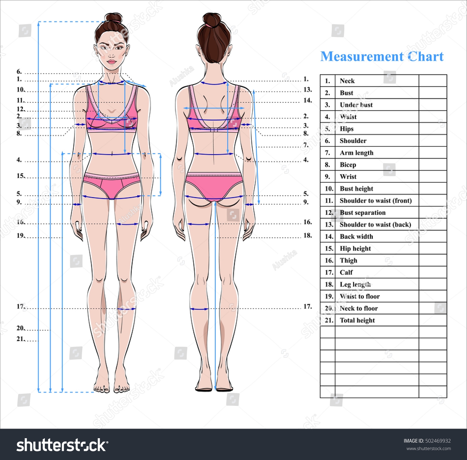 Woman Body Measurement Chart Scheme Measurement Stock Vector Royalty Free 502469932 Shutterstock